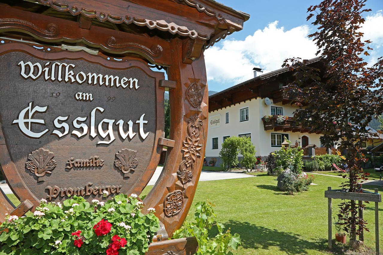 Appartments Am Esslgut ハウス・イム・エンスタール エクステリア 写真